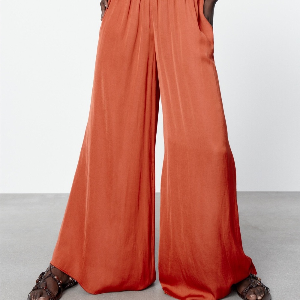 NWT Zara pants